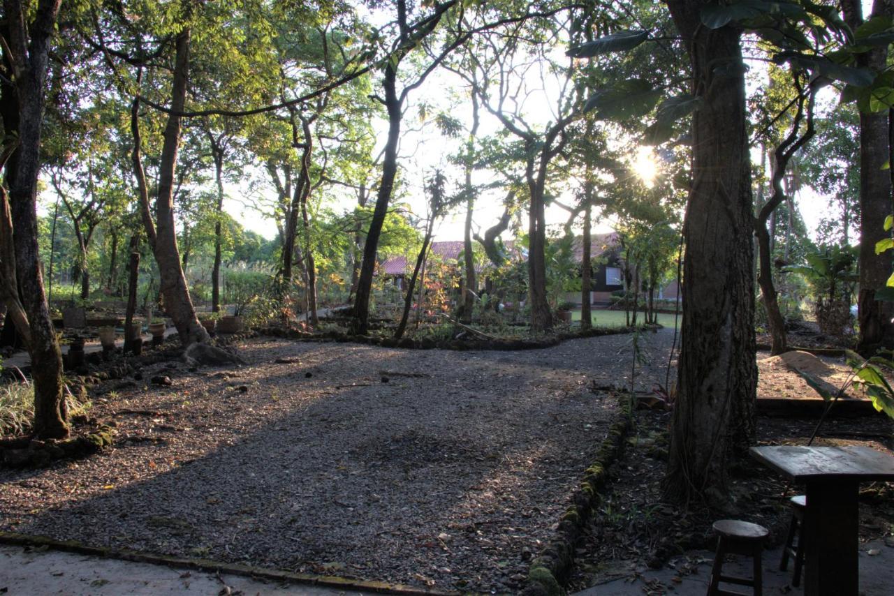 Casa Unica Com Piscina E Lareira A 1,2 Km Do Centro Villa Chapada dos Guimarães Eksteriør bilde