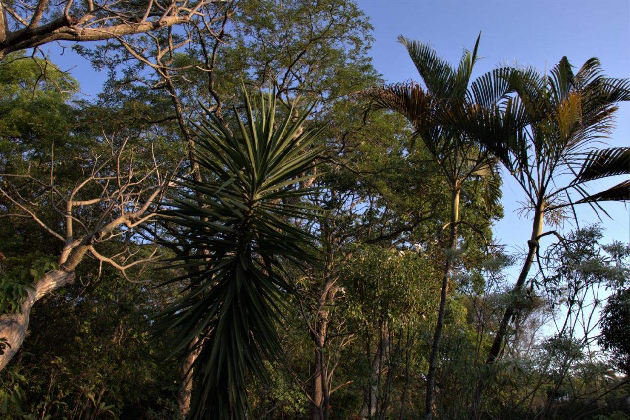 Casa Unica Com Piscina E Lareira A 1,2 Km Do Centro Villa Chapada dos Guimarães Eksteriør bilde